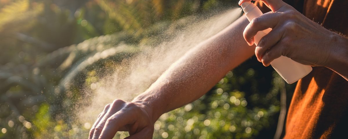 How to Deal with Mosquitoes and Other Pests While Camping