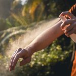 How to Deal with Mosquitoes and Other Pests While Camping